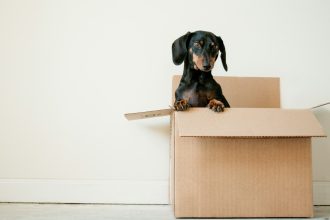 Tehertaxi vagy komplett költöztetés?